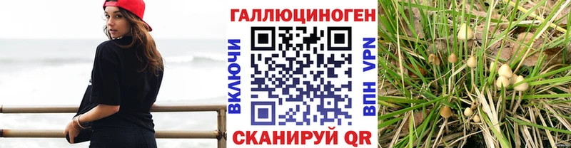 Псилоцибиновые грибы MAGIC MUSHROOMS  Плавск 